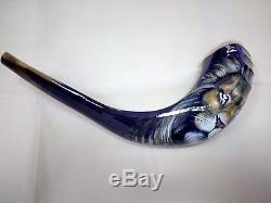 14-16 Ram Horn Shofar. Hand painted polished new. Lion Of Judah. One of a kind