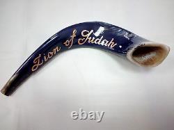 17-18 Ram Horn Shofar. Hand painted polished new. Lion Of Judah. One of a kind