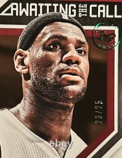 2013 LeBron One of a Kind Jersey # 23 Artist Proof Green Rare Mint 13-14 SP /25
