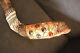 40-42 Kudu Horn Shofar. Hand Painted. One Of A Kind. Tallit And 12 Tribes Stones