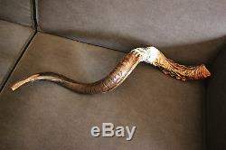 40-42 Kudu Horn Shofar. Hand painted. One of a kind. Tallit and 12 tribes stones