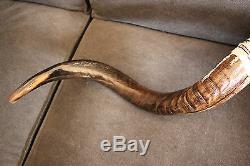 40-42 Kudu Horn Shofar. Hand painted. One of a kind. Tallit and 12 tribes stones