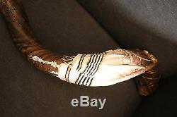 40-42 Kudu Horn Shofar. Hand painted. One of a kind. Tallit and 12 tribes stones