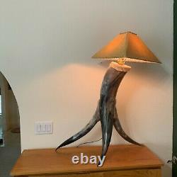 41 High ONE OF A KIND THREE COW HORN LAMP