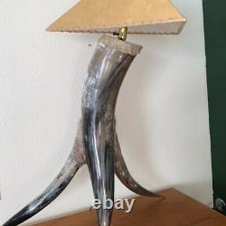 41 High ONE OF A KIND THREE HORN LAMP