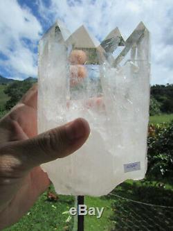 6 1/2 Astonishing Natural One Of A Kind Tantric Twin Crystal Quartz 3.46 Lbs