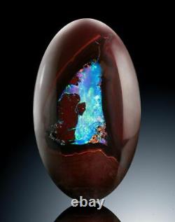 A one of a kind polished Boulder Opal showing Opal running through out the piece