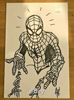 Adam Hughes Amazing Spider-Man Bust Sketch One-Of-A-Kind