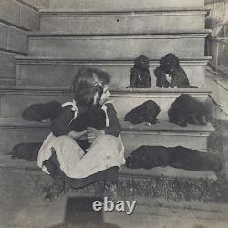 Adorable Little Girl With Puppies Photo c1900 Dog Cabinet Card Antique U153