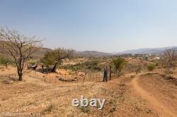 African Sculptor Patrick Manyike Hand Carved Wood Sculpture-Rare! One Of A Kind