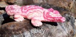 Amazing, Gem, Large Solid, Hand Carved RHODOCHROSITE CROCODILEOne Of A Kind