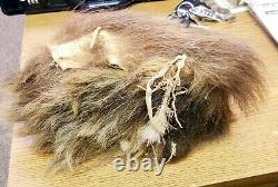 Antique Native American One of a Kind, Mandan Buffalo Hair and Skin Head Dress