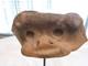 Antique Sandstone Relic Mounted On Acrylic, Rare One Of A Kind, Art Estate Sale