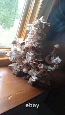 Authentic Original One Of a Kind Mexican Seashell Mushroom Fairy Garden