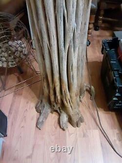 BEAUTIFUL Saguaro Cactus Wood 5FT Lamp ONE OF A KIND OPTIONAL DRIFTWOOD SHADE