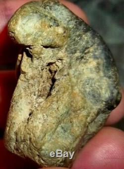 Baby Dinosaur Embryo Fossil One of A kind find! INCREDIBLE