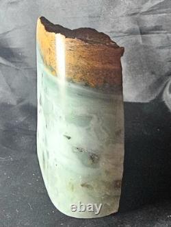 Bc Ocean Picture Stone One-of-a-kind Polished Display Specimen