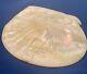Beautiful Natural One Of A Kind Mother Of Pearl Shell Footed Caviar Trinket Dish