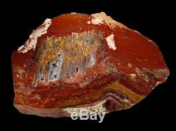 Cady Mountain Tube Agate SICAT Premium Polished Specimen One of a Kind 10 Pounds