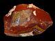 Cady Mountain Tube Agate Sicat Premium Polished Specimen One Of A Kind 10 Pounds