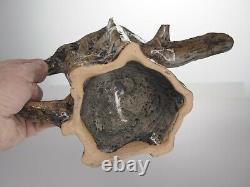 Ceramic teapot. Handmade, one of a kind, brown tree stump log branches