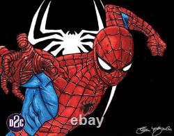 Comic Art One of a Kind/ Spider Punch