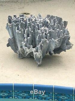 Coral Blue / Gray Exquisite One Of A Kind Entrance/aquarium Large Show Piece