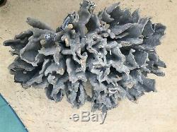 Coral Blue / Gray Exquisite One Of A Kind Entrance/aquarium Large Show Piece