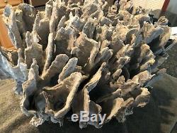 Coral Blue / Gray Exquisite One Of A Kind Entrance/aquarium Large Show Piece