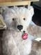 Frank Webster One-of-a-kind Teddy Bear Artist Bear #502d97