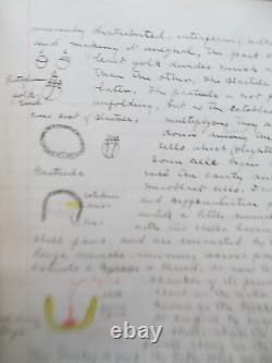 GREAT ONE OF A KIND NAMED 1899 Antique College Biology Class Note & Sketch Book
