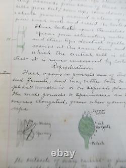 GREAT ONE OF A KIND NAMED 1899 Antique College Biology Class Note & Sketch Book