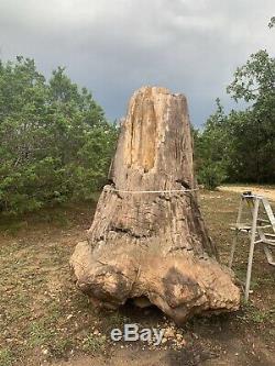Giant Petrified Wood Tree Stump 8ft Tall Unique One of a kind fossilized fossil