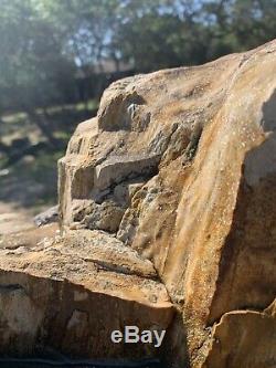 Giant Petrified Wood Tree Stump 8ft Tall Unique One of a kind fossilized fossil