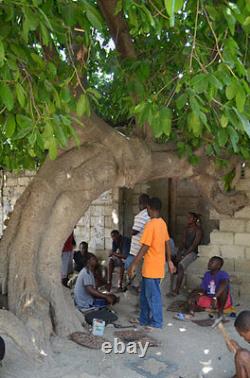 Handmade Haitian Voodoo Recycled Metal, One-of-a-Kind Fair Trade Art 23x23in
