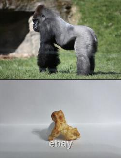 Harambe Shaped Cheeto One of a Kind Rare Collectible Cheetos Harambae OOAK HTF