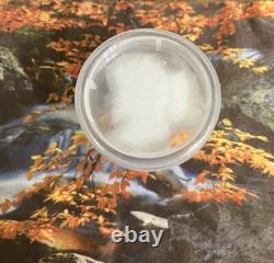 Harambe Shaped Cheeto One of a Kind Rare Collectible Cheetos Harambae OOAK HTF