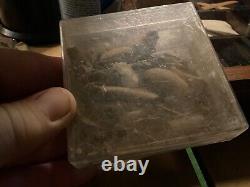 Holy Relic One Of A Kind Marion Apparitions Soil And Branch Of The Oak Tree