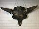 Ice Age Bison Skull With Eye Sockets & Snout Bones One Of A Kind