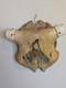 Indian Warrior Hand Painted Steer Head Folk Art One Of A Kind