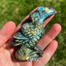 Labradorite Toucan, One of a Kind Hand Carved Labradorite Stone Toucan Sculpture