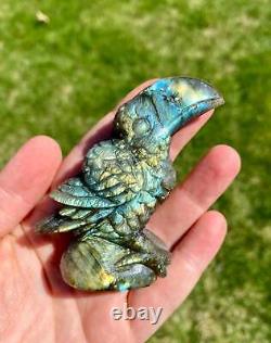 Labradorite Toucan, One of a Kind Hand Carved Labradorite Stone Toucan Sculpture