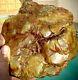 Large Green Eel River Rough Agate Natural Stone With One Of A Kind Look