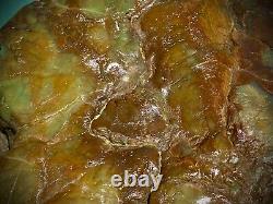 Large Green Eel River Rough Agate Natural Stone With One Of A Kind Look