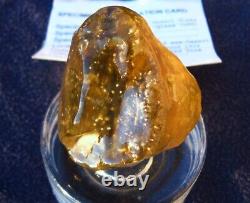 Libyan Desert Glass Meteorite Tektite impact Cintamani(480 crt)one of its Kind