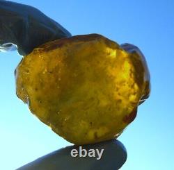 Libyan Desert Glass Meteorite Tektite impact Cintamani(480 crt)one of its Kind