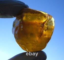 Libyan Desert Glass Meteorite Tektite impact Cintamani(480 crt)one of its Kind