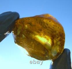 Libyan Desert Glass Meteorite Tektite impact Cintamani(480 crt)one of its Kind