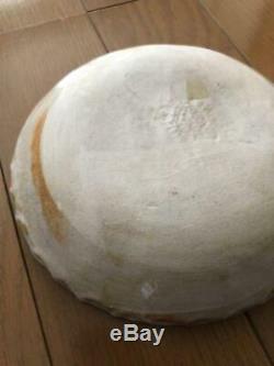 Makoto Kagoshima Plate Bowl Turtle one-of-a-kind Pre-owned Unused RARE JPN