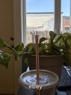 McDonald's Straw With One Of A Kind Manufacturing Defect. With Original Cup